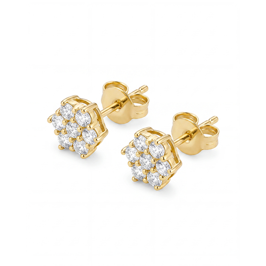 Orecchini Blister Fiore - Argento925